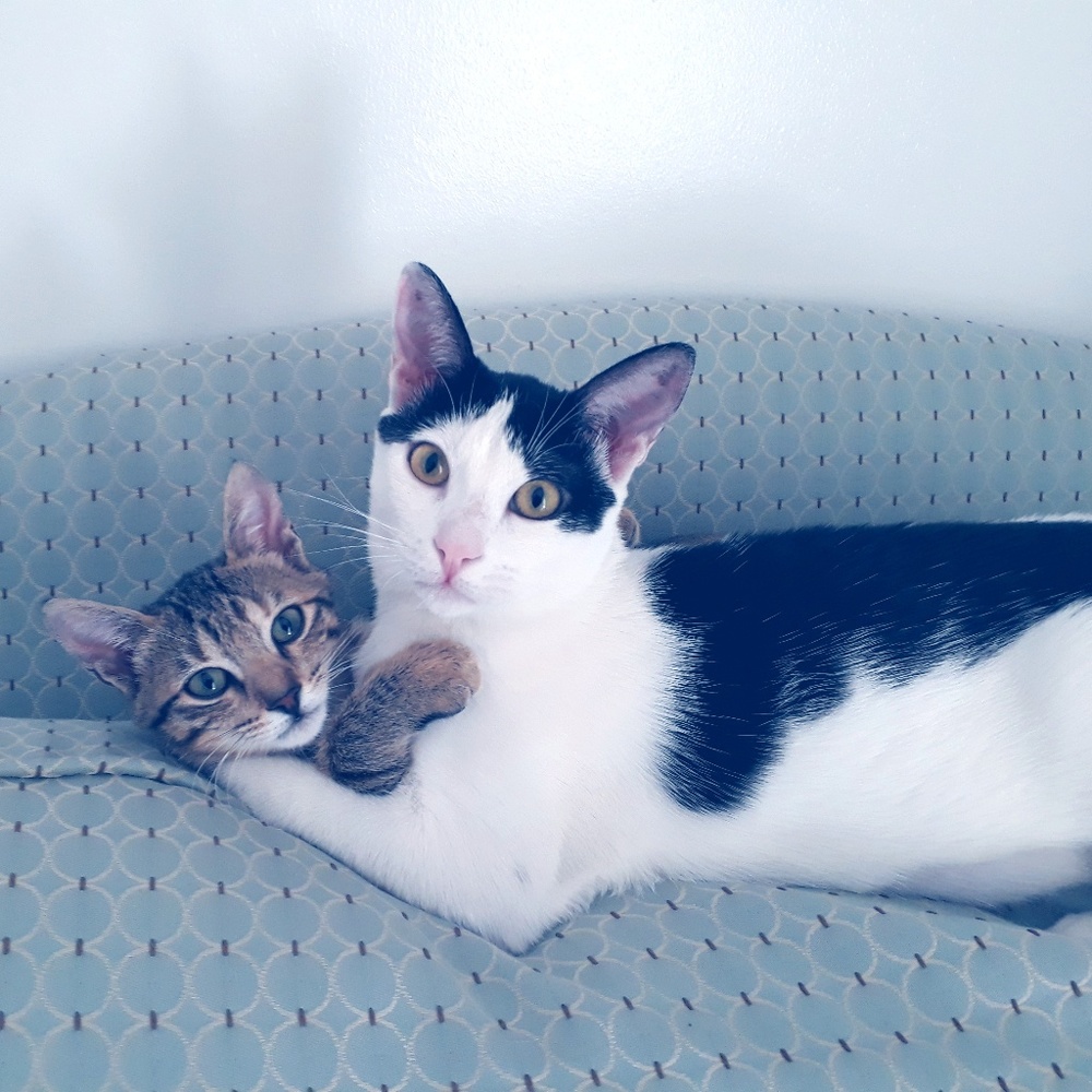 Meet your Posher, Connie